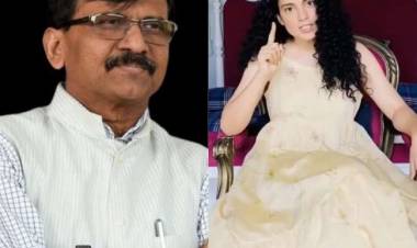 The judge was surprised by the fact that Raut's 'haramkhor' is called 'naughty' | time today 